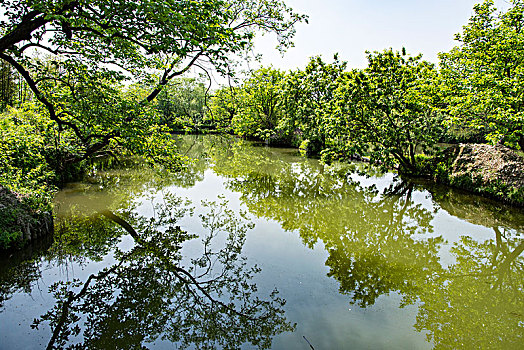 西溪湿地