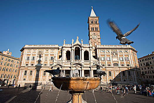 鸽子,降落,喷泉,相对,圣玛丽亚教堂,罗马,意大利,欧洲