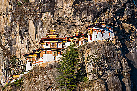 虎穴寺,寺院,悬挂,悬崖,不丹