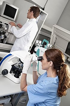 女性,实验室人员,分析,样品,显微镜