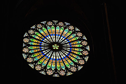 彩色玻璃,圆花窗,巴黎圣母院,哥特式,大教堂,14世纪,斯特拉斯堡,阿尔萨斯,法国