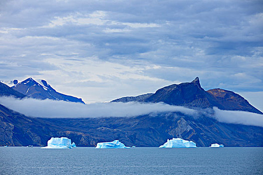 冰山,奥斯卡,峡湾,格陵兰