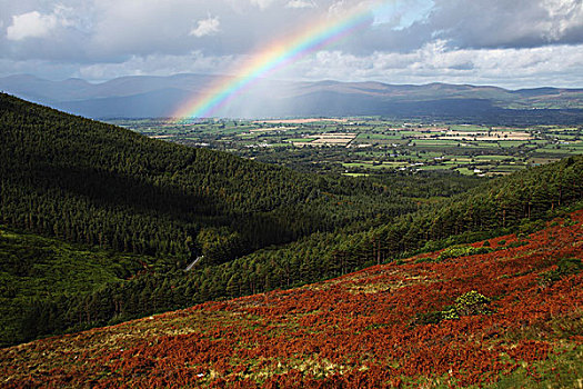 彩虹,上方,蒂珀雷里郡,爱尔兰