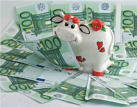 母牛,钱,银行,草场