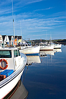 渔船,反射,爱德华王子岛,加拿大