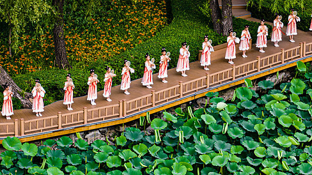 荷花与跳舞的女孩-夏日的中国长春南湖公园风景