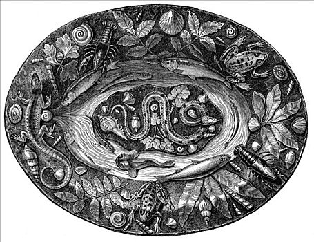 盘子,16世纪,艺术家,未知