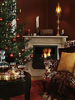 客厅,壁炉,圣诞树