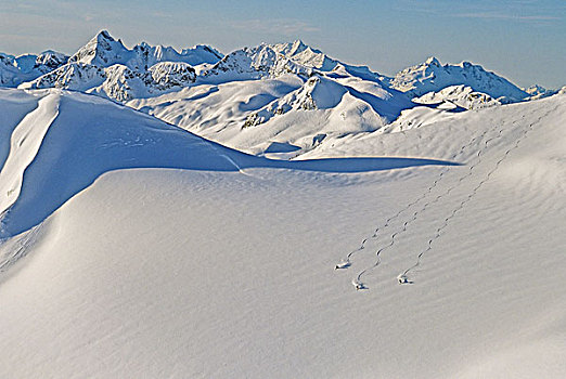 三个,滑雪者,滑雪,向上,斜坡,边远地区,不列颠哥伦比亚省,加拿大