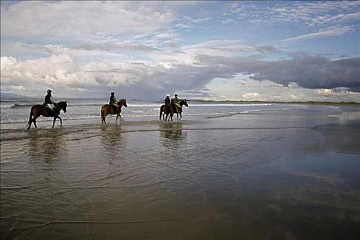 四个人,骑马,海滩,爱尔兰