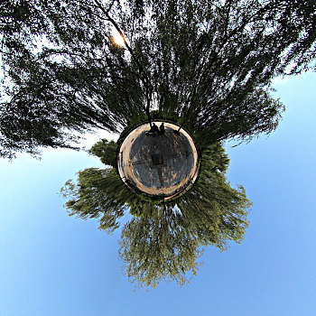 广场树林全景星球照片
