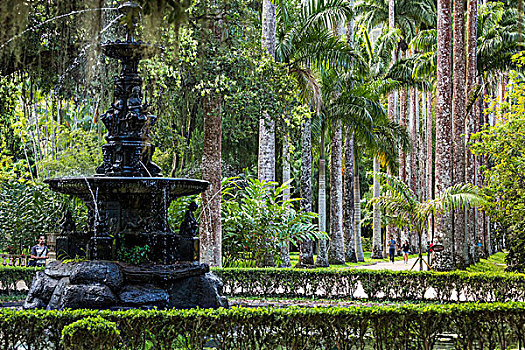 喷泉,植物园,里约热内卢,巴西