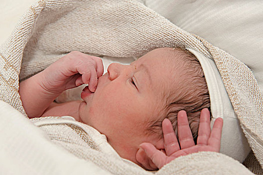 婴儿,钟点,出生,包着,可爱,毯子