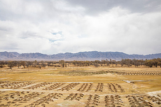 阳原县,开阳堡