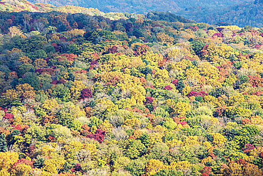 金龙山秋色