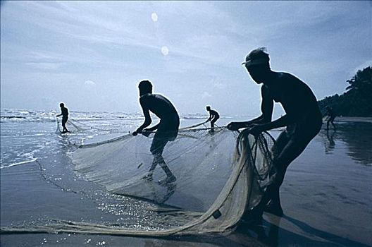 捕鱼者,拉拽,渔网,斯里兰卡