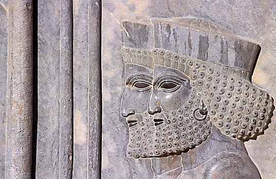 浅浮雕,东方,楼梯,阿帕达纳宫,波斯波利斯,法尔斯,省,伊朗