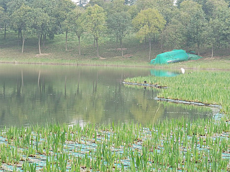 西安鹤鸣湖公园