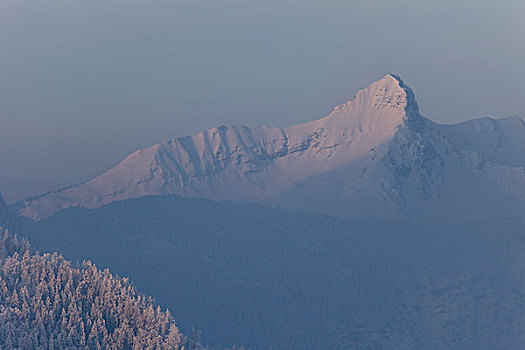 冬季风景,山顶,阿尔卑斯山,奥地利,提洛尔,埃尔瓦尔德