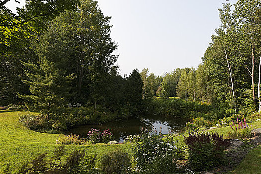 水塘,花园,魁北克,加拿大