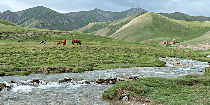 拉巴特,马,牧场,山,河,15世纪,驿站,省,吉尔吉斯斯坦,亚洲