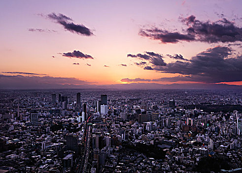 城市,日落,涩谷,东京,日本,亚洲