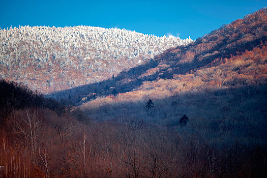 吉林冬天雪地自然景观