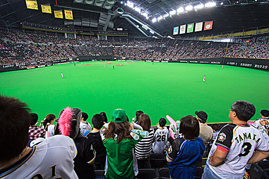巨大,人群,札幌,圆顶,北海道,看,游戏,家,棒球队,日本,火腿,好斗