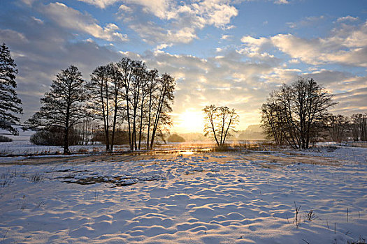 风景,日出,早晨,冬天,普拉蒂纳特,巴伐利亚,德国