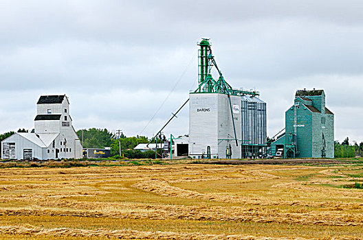 麦田,谷仓,靠近,轨道,艾伯塔省,加拿大