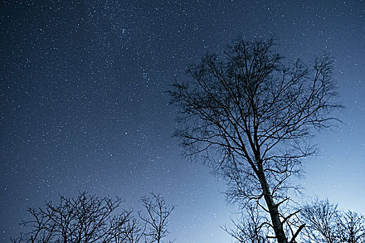 星空,冬天