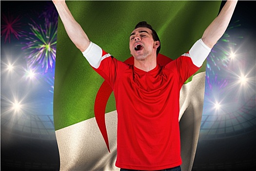 兴奋,球迷,欢呼,烟花,爆炸,上方,足球场,阿尔及利亚,旗帜