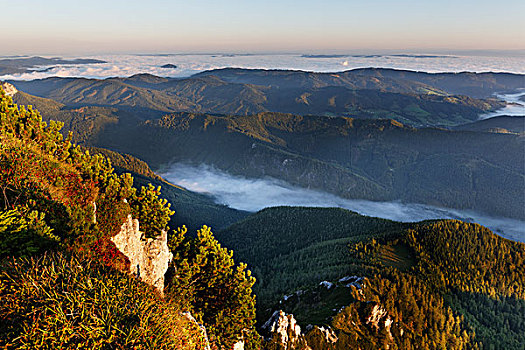 风景,山,湖,雾,区域,萨尔茨卡莫古特,上奥地利州,奥地利,欧洲