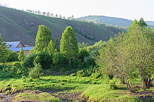 草原山坡