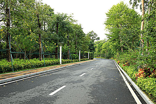 美丽的园林道路