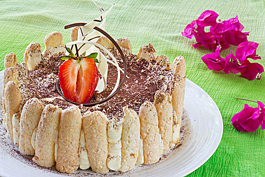 提拉米苏蛋糕,蛋糕,绿色背景