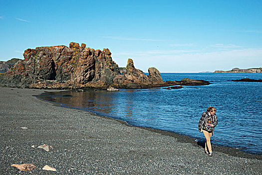 美女,走,岩石,海滩,大西洋,海岸,北方,特威林盖特岛,纽芬兰,拉布拉多犬,加拿大