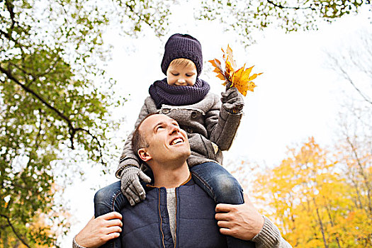 家庭,孩子,季节,人,概念,高兴,父子,乐趣,秋天,公园