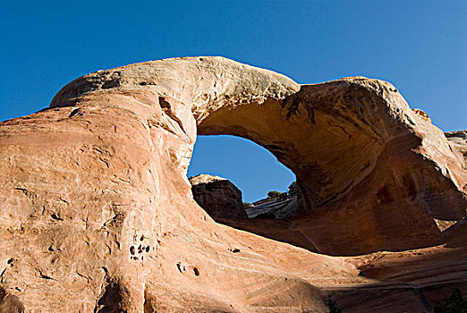 仰视,天然拱,响尾蛇,峡谷,科罗拉多,美国