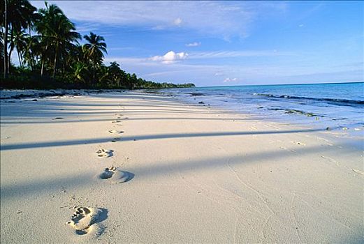 脚印,海滩,靠近,手掌,胜地,南,巴哈马