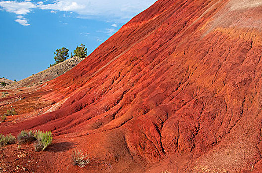 红色,山,小路,约翰时代化石床国家纪念公园,俄勒冈,美国