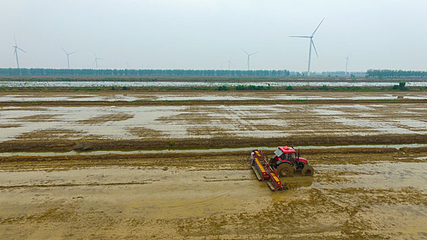 播种机直播水稻