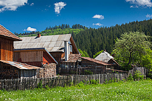 罗马尼亚,布科维纳,区域,乡村,风景