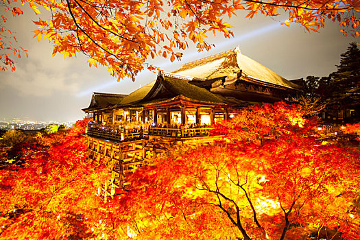 美景,秋季,彩色,枫树,庙宇,京都,流行,旅游胜地,日本