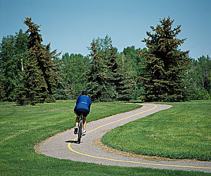 骑自行车,道路,北方,公园,卡尔加里,艾伯塔省,加拿大