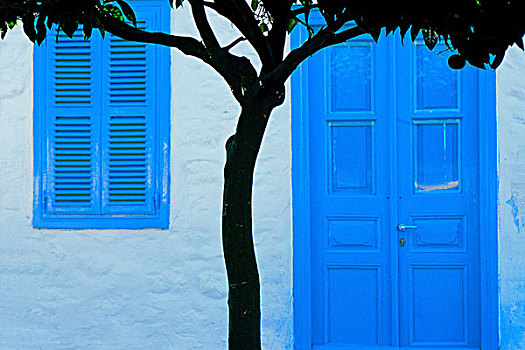 希腊,岛屿,伊德拉岛,柠檬树,对比,传统,房子