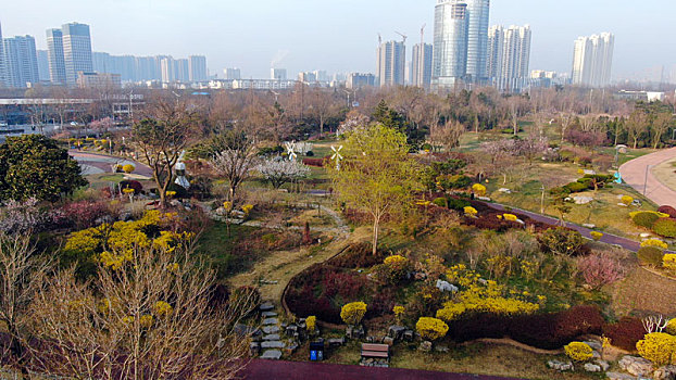 山东省日照市,植物园春色满园百花争艳,市民早起晨练练太极享受美好假期