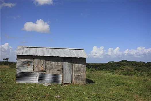 小屋,靠近,多米尼加共和国,加勒比海