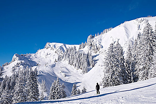 滑雪胜地,兰格丽斯,巴伐利亚,上巴伐利亚,德国,欧洲