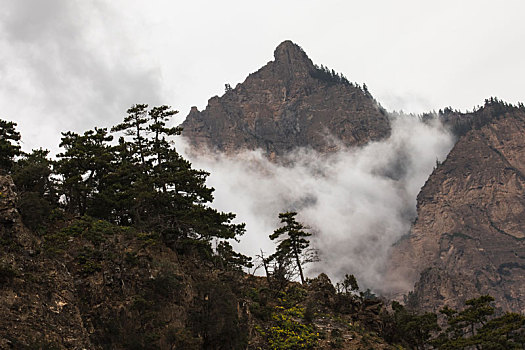 峪口,森林公园